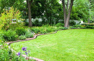 DIŞ MEKAN BİTKİLERİ