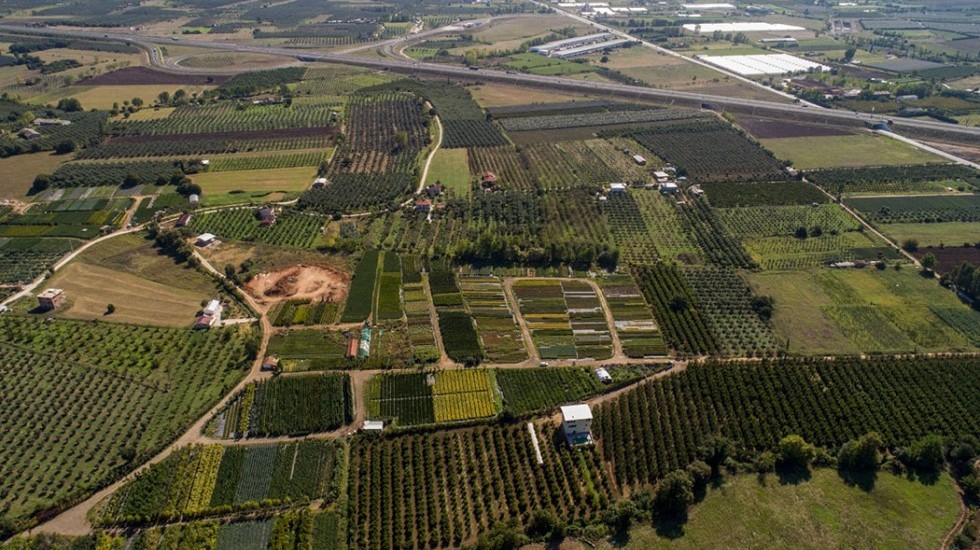 BİTKİ ÜRETİM ALANLARIMIZ - MERKEZ / YALOVA