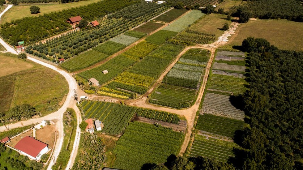 BİTKİ ÜRETİM ALANLARIMIZ - MERKEZ / YALOVA