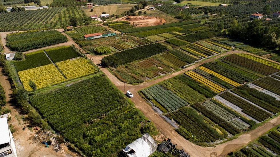 BİTKİ ÜRETİM ALANLARIMIZ - MERKEZ / YALOVA